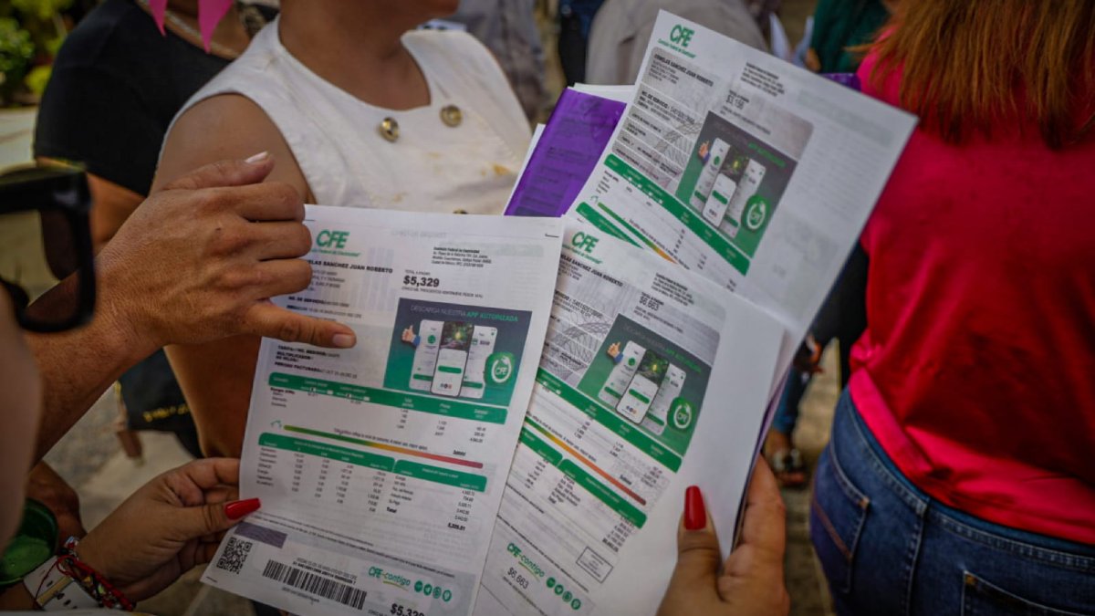 usuarios de energia electrica se manifiestan en el congreso costos