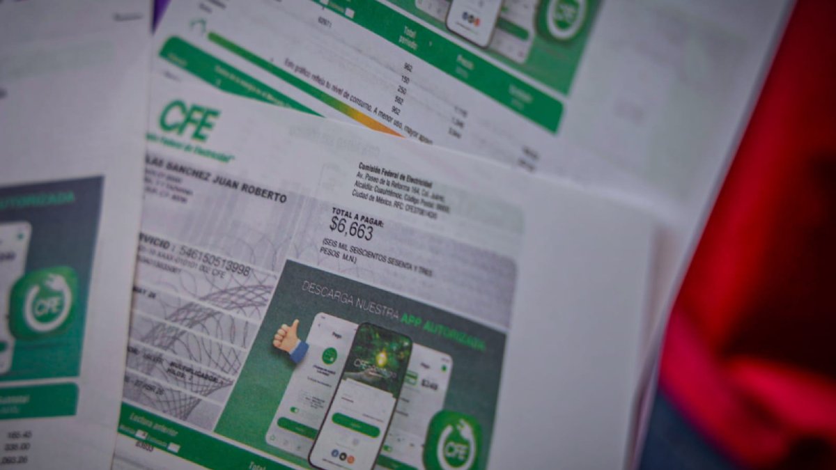usuarios de energia electrica se manifiestan en el congreso recibo