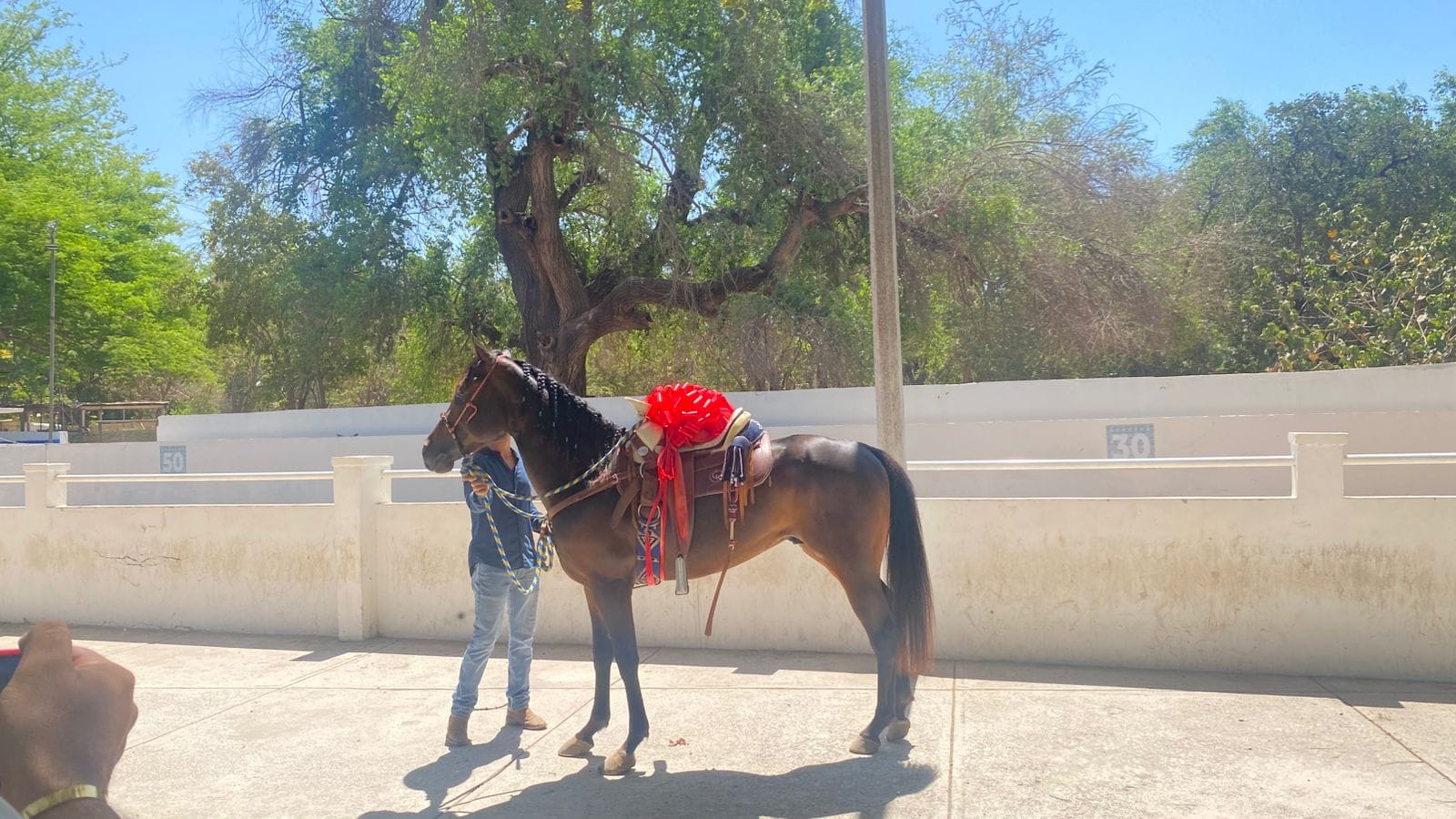 Charreada universitaria en Guasave