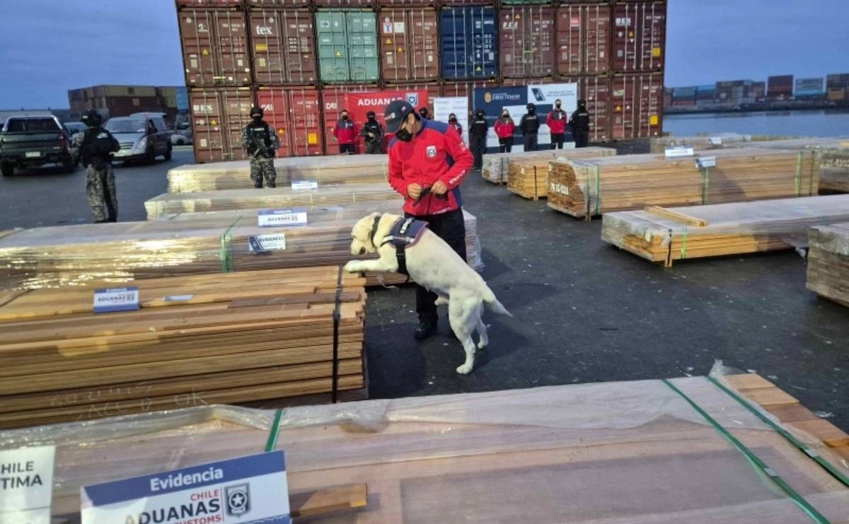 Chile decomisa más de 108 toneladas de droga oculta en madera