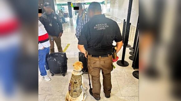 Detienen en Tijuana a dos hombres con 52 kilos de probable cocaína