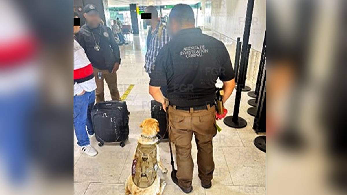 Detienen en Tijuana a dos hombres con 52 kilos de probable cocaína