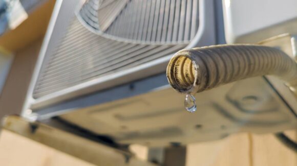 Regar tus plantas con agua del aire acondicionado: cómo hacerlo y por qué puede ser útil