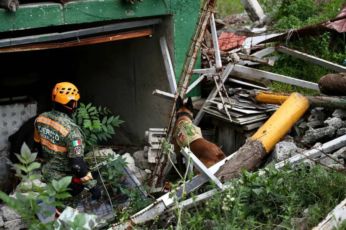 Fuerza de Apoyo para Desastres el brazo operativo del Ejército Mexicano