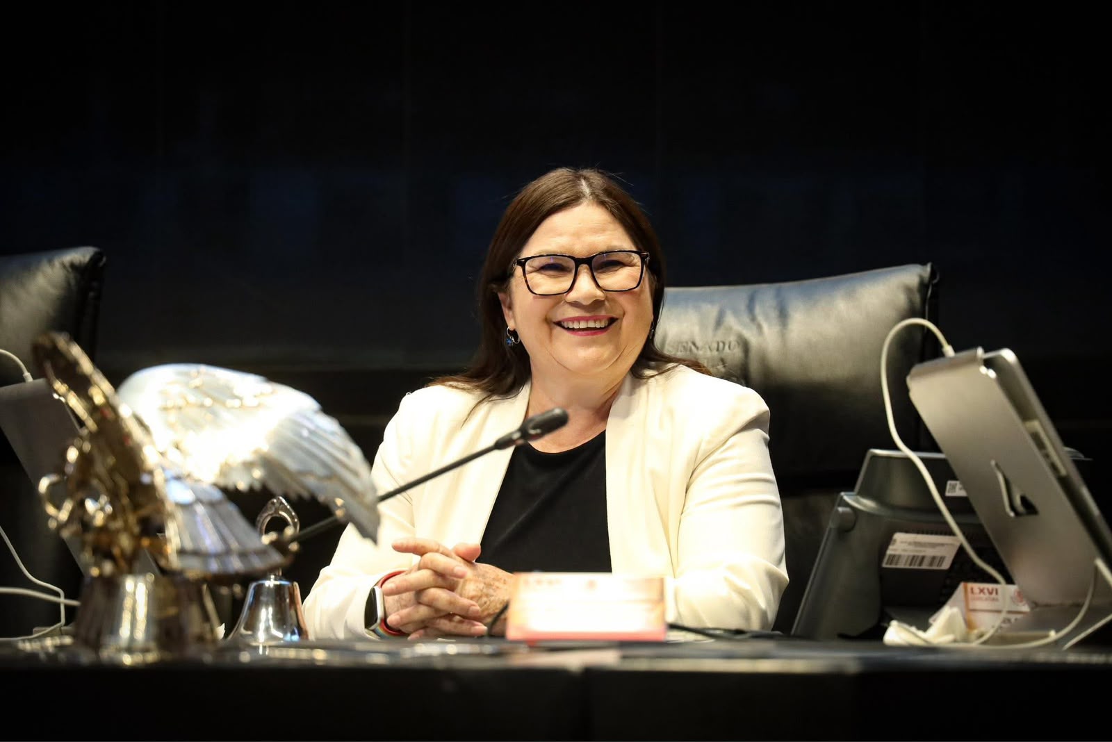 Imelda Castro solicita licencia al Senado