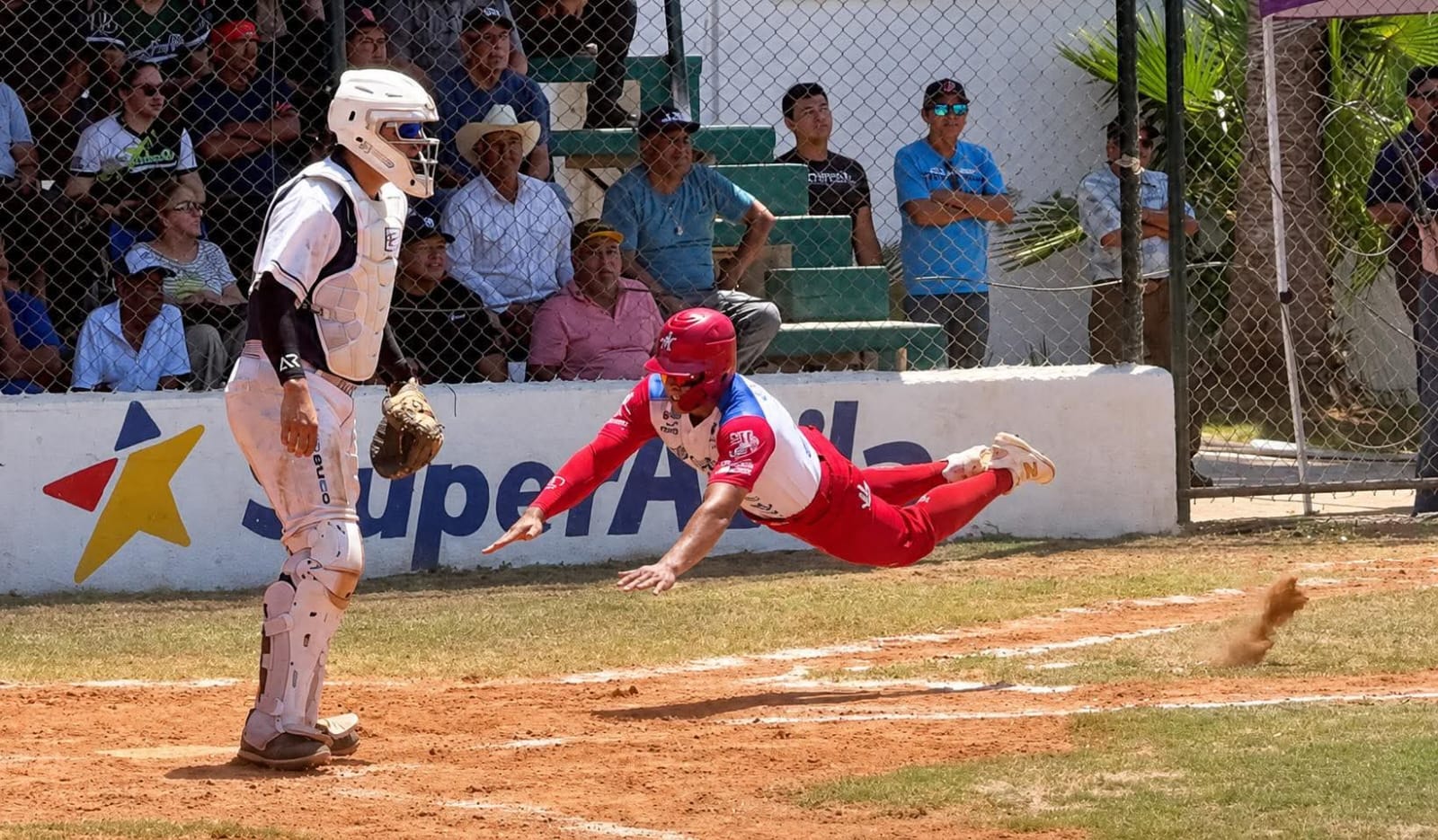 Liga Clemente Grijalva