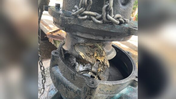 Toallitas húmedas generan elevados costos operativos en la junta de agua; llaman a evitar desecharlas en sanitarios, en Mocorito