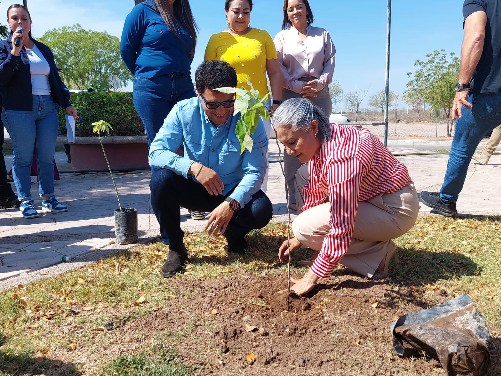 Llevan 200 árboles a Salvador Alvarado; llaman a reforzar acciones contra el cambio climático
