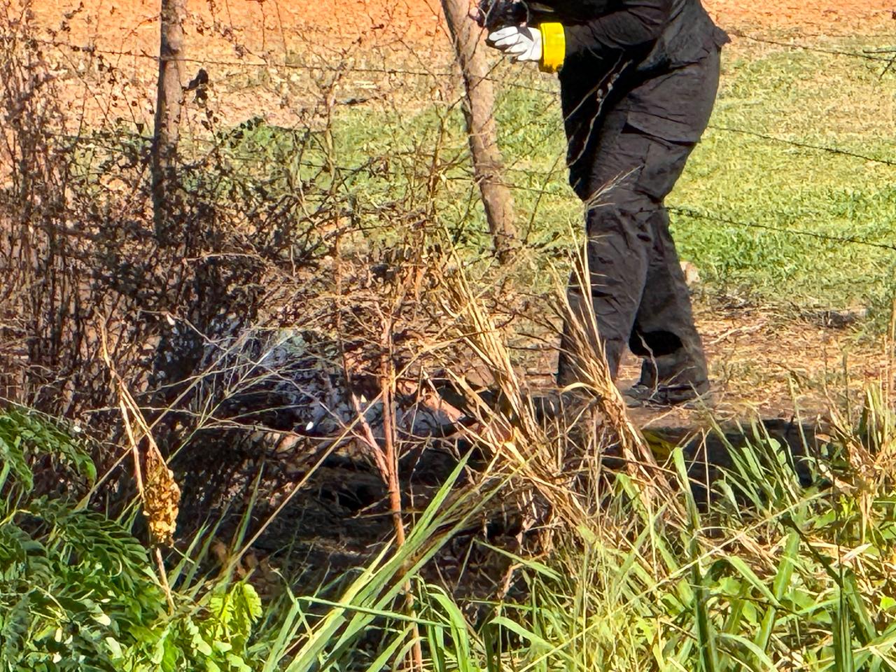 Localizada persona asesinada en Mazatlán