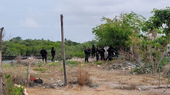 ¡Era un cerdo! Peritajes iniciales descartan presuntos restos humanos en marismas de Mazatlán, Sinaloa