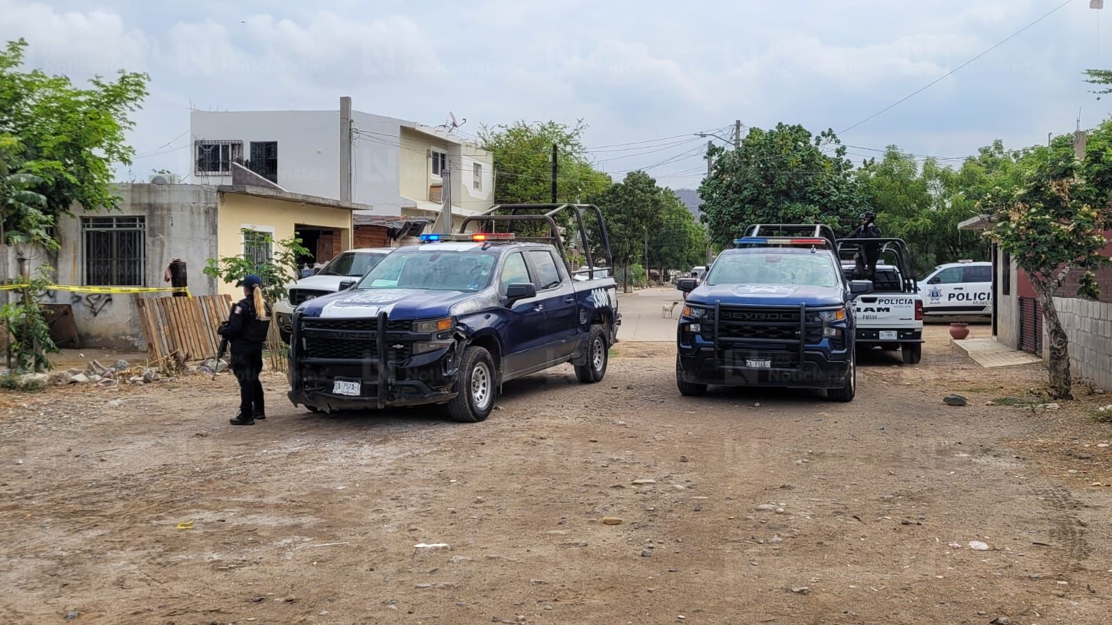 Localizan torso humano en zona de marismas de la colonia Quinta Chapalita en Mazatlán, Sinaloa