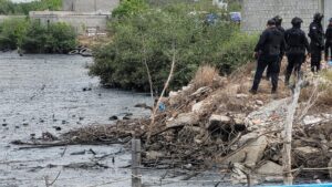 Localizan torso humano en zona de marismas de la colonia Quinta Chapalita en Mazatlán, Sinaloa