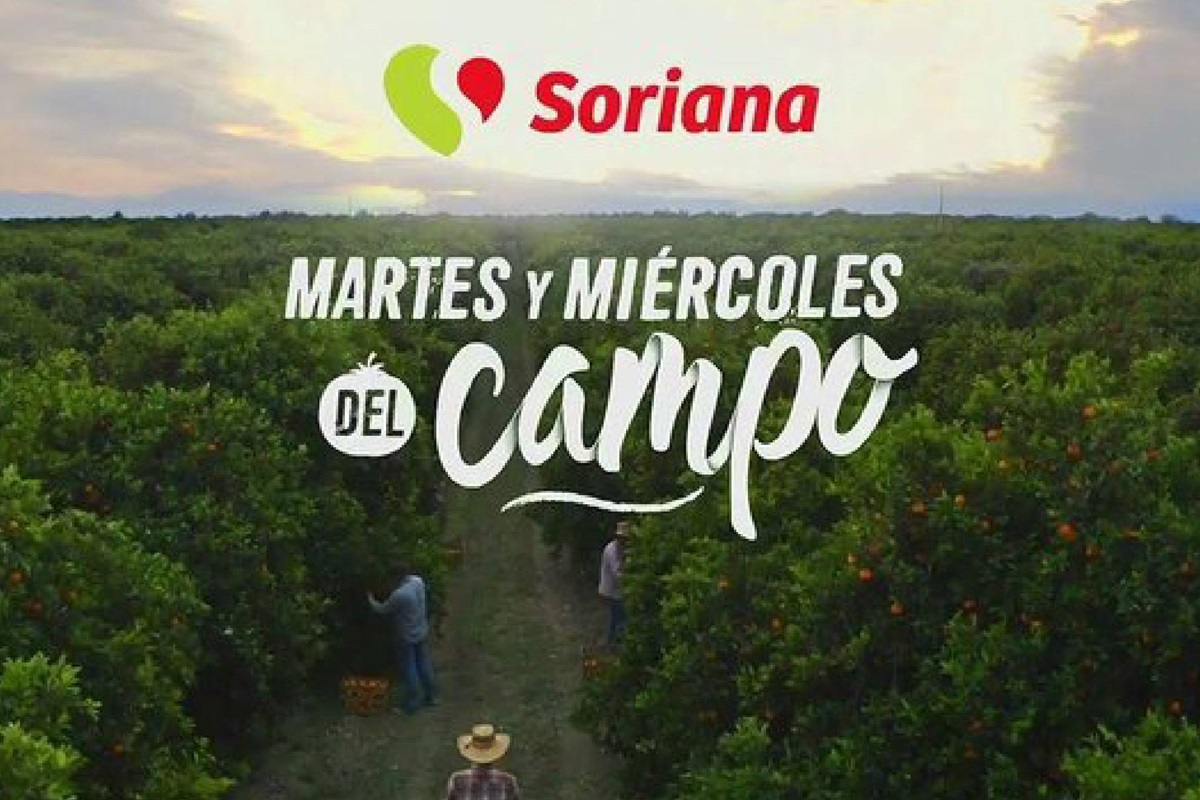 Martes y Miércoles de Campo