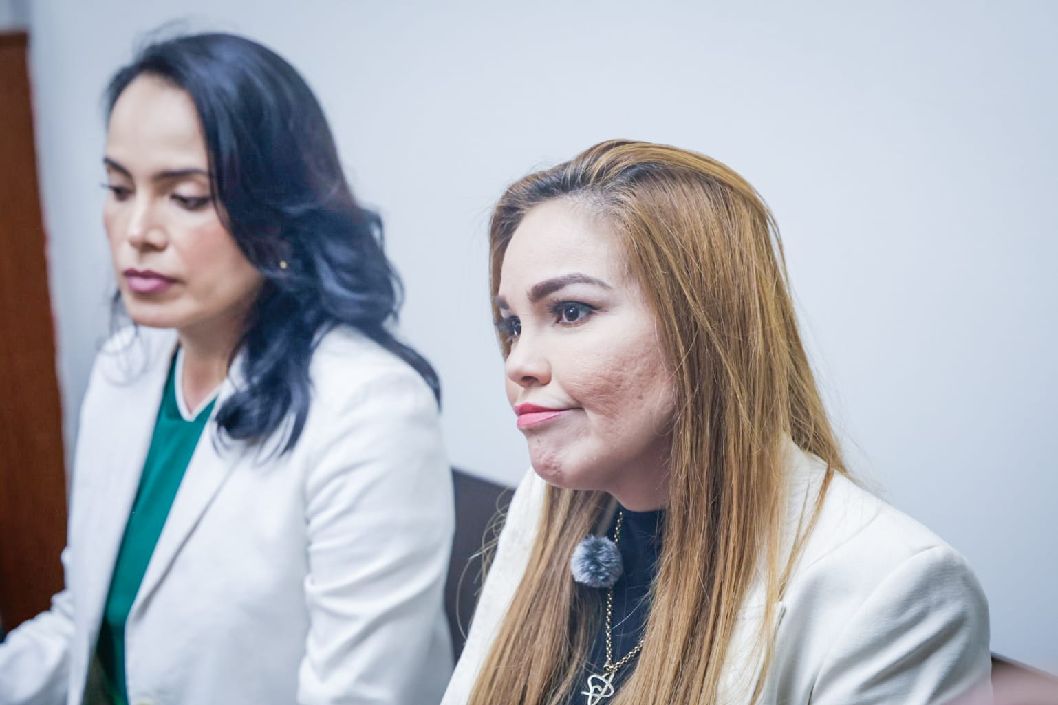 Paola Garate, diputada del PRI en conferencia