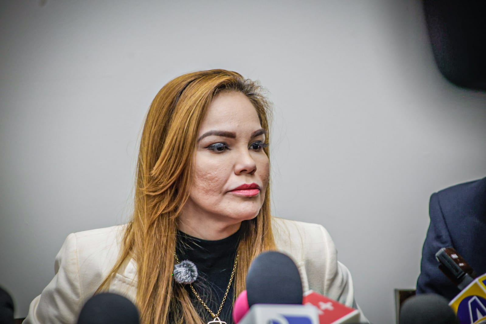 Paola Garate, diputada del PRI
