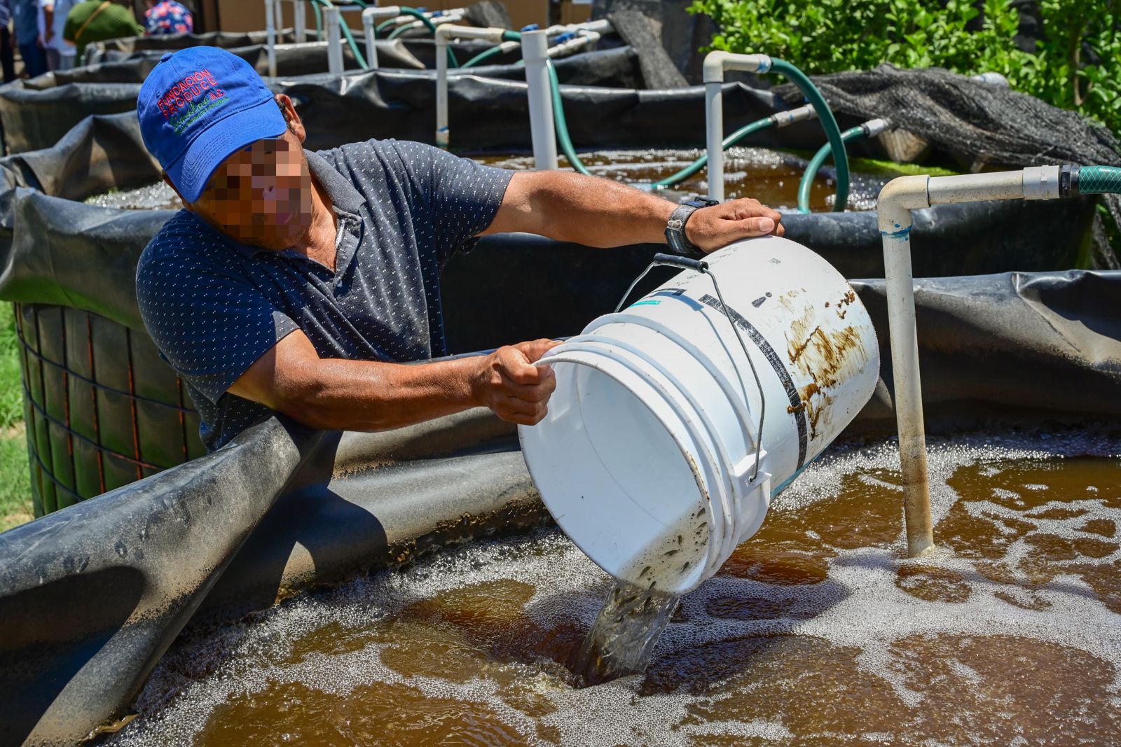 De internos a acuicultores en Mazatlán