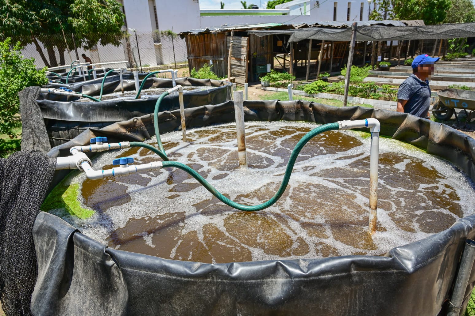 De internos a acuicultores en Mazatlán