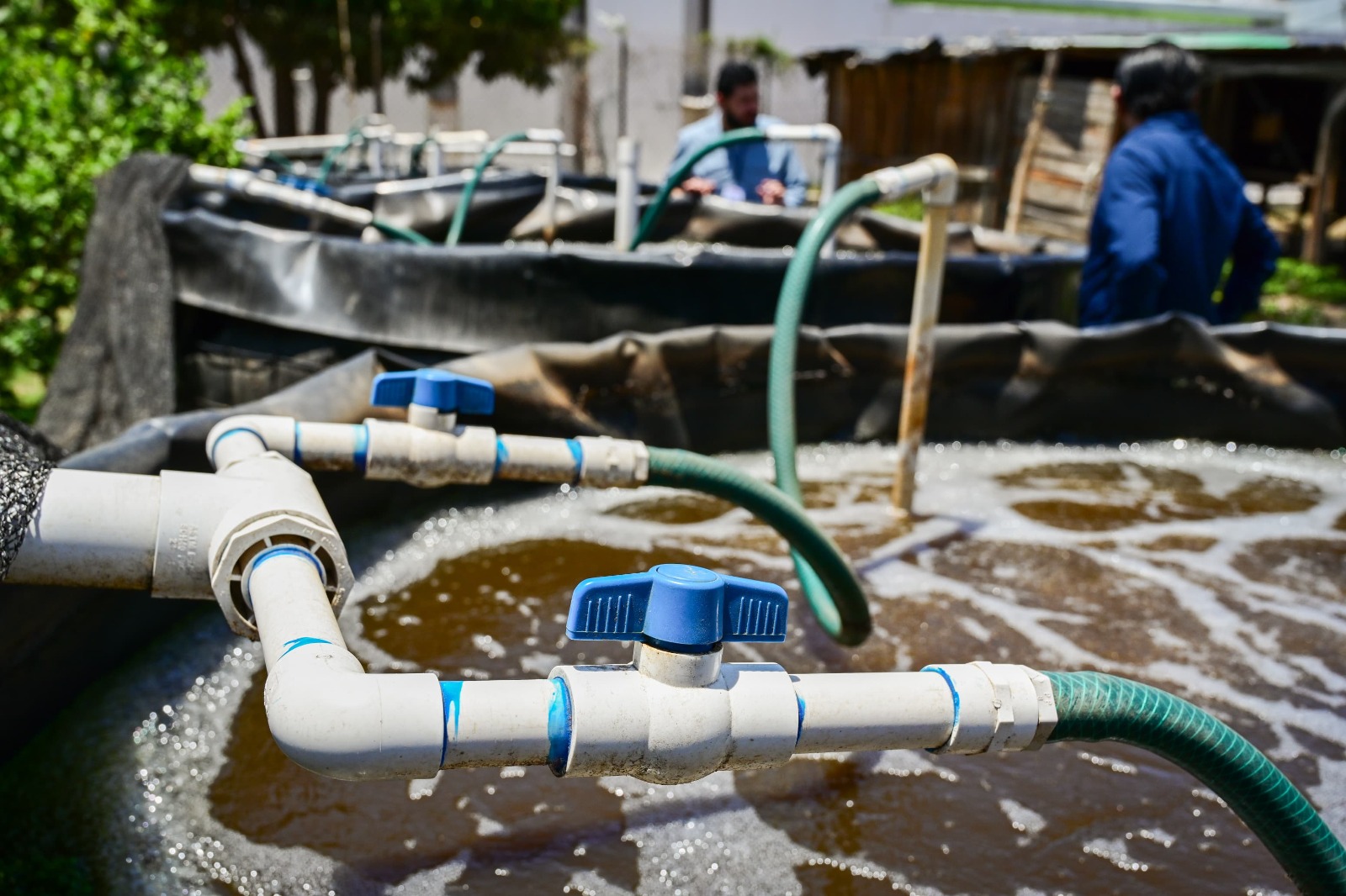 De internos a acuicultores en Mazatlán