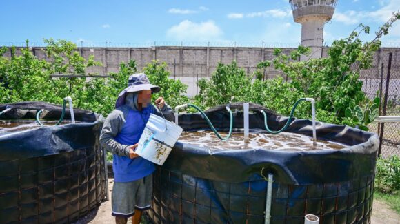De internos a acuicultores: el proyecto que siembra tilapias y cosecha esperanza en el penal de Mazatlán, Sinaloa