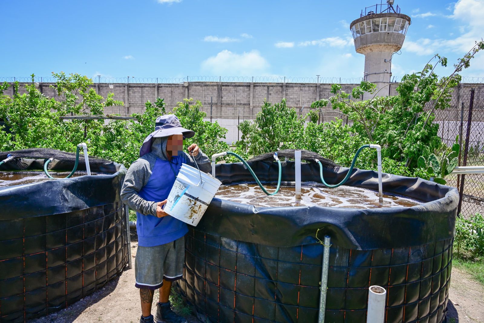 De internos a acuicultores en Mazatlán