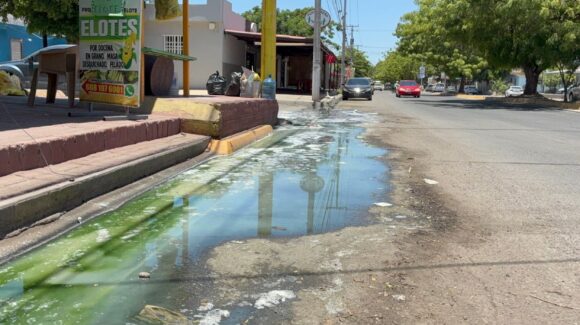 “La peste ya no se aguanta”: en Los Mochis vecinos y comerciantes de Praderas de Villa amenazan con bloquear el Pedro Anaya por derrames de aguas negras