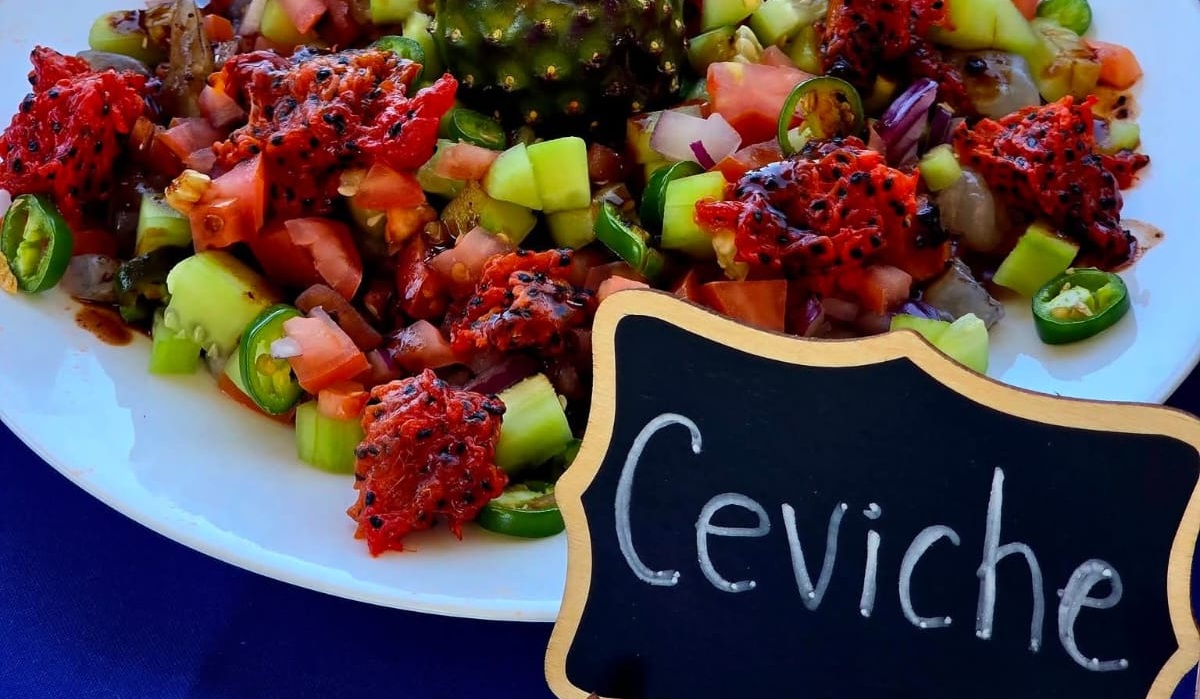 Anuncian la Feria de la Pitaya, en Choix