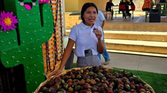 Choix, Sinaloa, se prepara para celebrar la Feria de la Pitaya 2026 con gastronomía, cultura y concursos para toda la familia