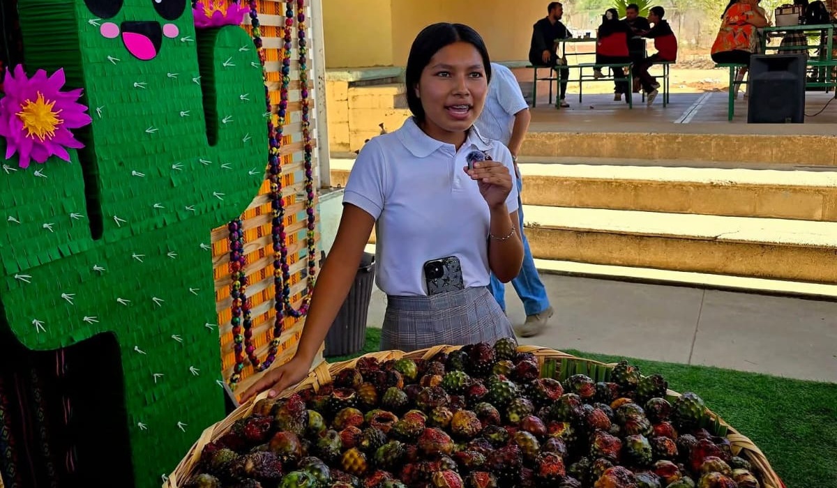 Anuncian la Feria de la Pitaya, en Choix