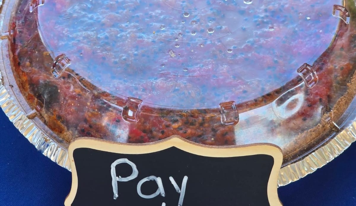 Anuncian la Feria de la Pitaya, en Choix