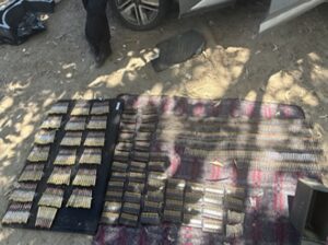 Aseguramiento en Elota