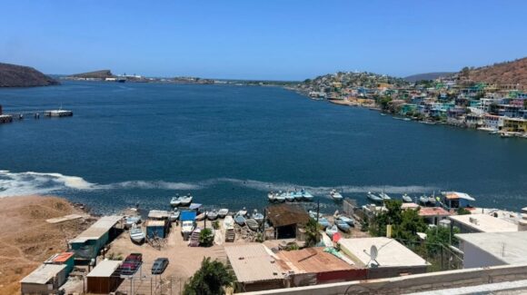 Planta de fertilizantes no intervendrá en pesca de la Bahía Ohuira, Topolobampo: Conapesca