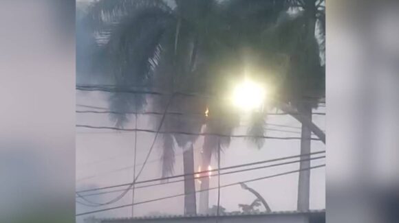 Cae rayo en una palmera en el sector Scally de Los Mochis, Sinaloa