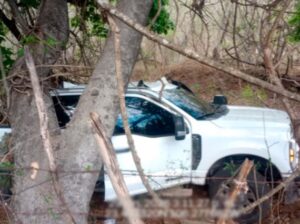 Decomiso en El Rosario y Mazatlán, Sinaloa