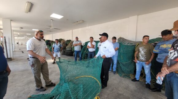 Conapesca lanza cruzada para proteger tortugas marinas; capacitarán a mil 500 pescadores y rederos en México
