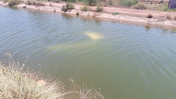 Conductor de camioneta cae a canal en la sindicatura de Tamazula, Guasave, Sinaloa
