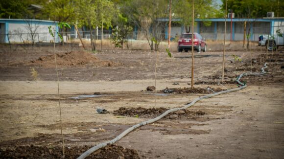 Prevén construir pozo para garantizar el riego del futuro Jardín Botánico de Guamúchil
