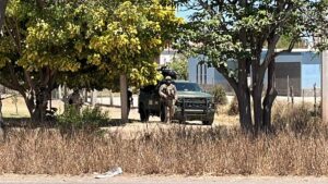 convoy de la sspc despliegan operativo en guasave sinaloa