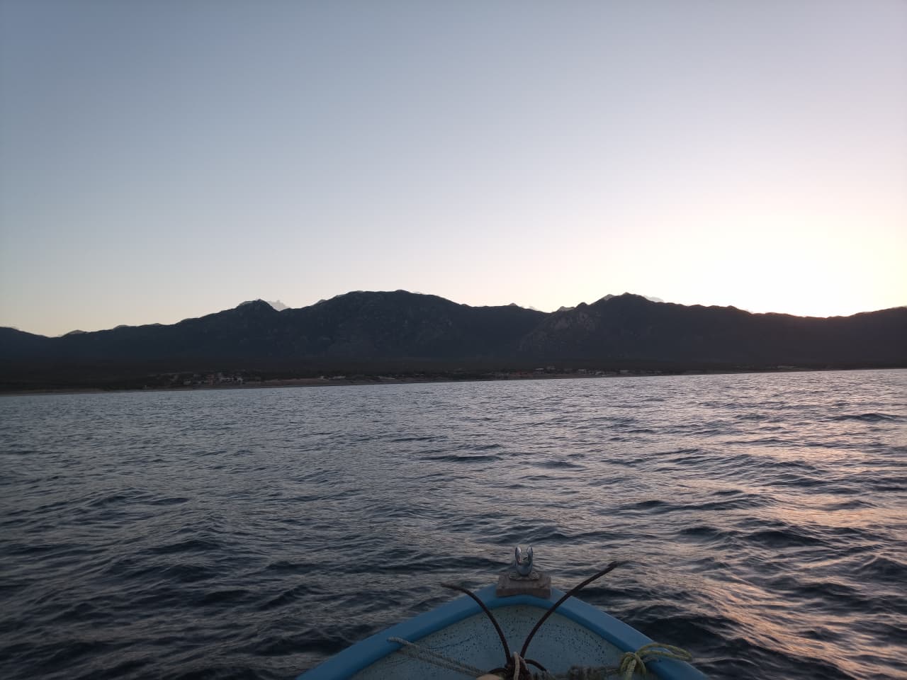 Crean tres zonas de refugio pesquero en Baja California Sur