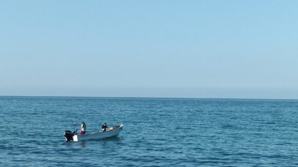 Pescadores logran histórico refugio marino; crean tres zonas protegidas para recuperar especies en Baja California Sur