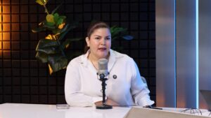 diputada federal de morena merary villegas sanchez funcionaria