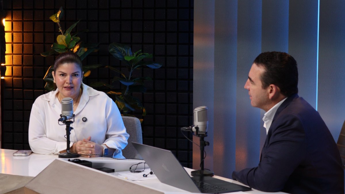 diputada federal de morena merary villegas sanchez