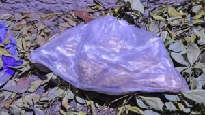 ejercito asegura mil 800 pastillas de fentanilo en la colonia republica mexicana