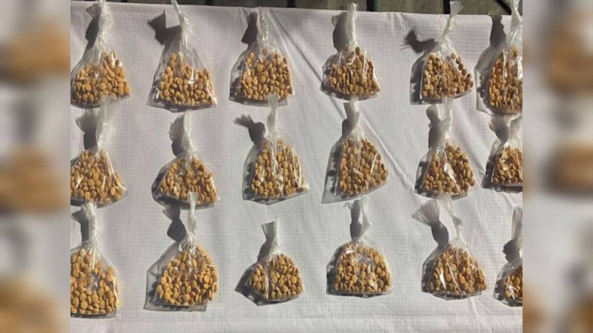 ejercito asegura mil 800 pastillas de fentanilo en la colonia republica mexicana culiacan