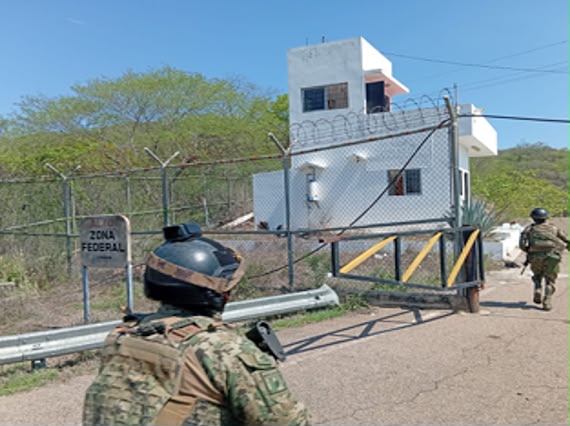 Decomiso en El Rosario y Mazatlán, Sinaloa
