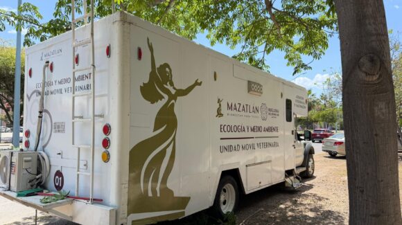 Llevarán jornada gratuita de esterilización de mascotas al Ejido El Castillo, en Mazatlán 
