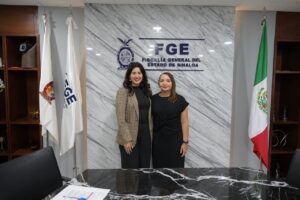 Van tras los patrones de la violencia feminicida