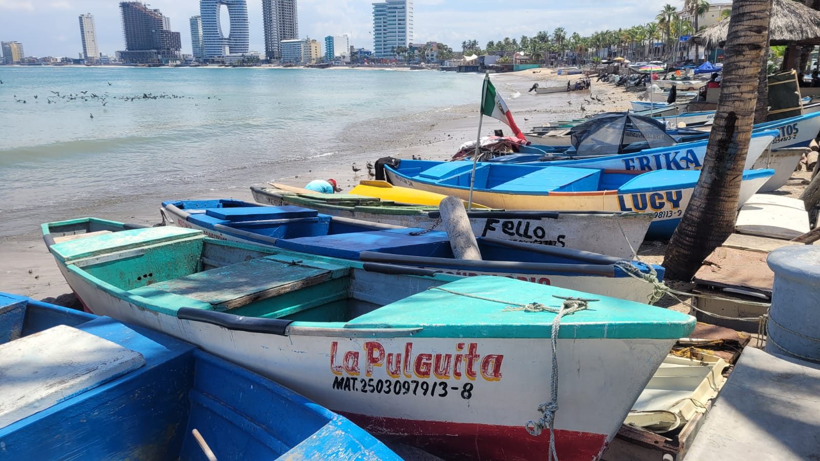 Gran Acuario dona contenedores de basura a pescadores de Playa Norte en Mazatlán