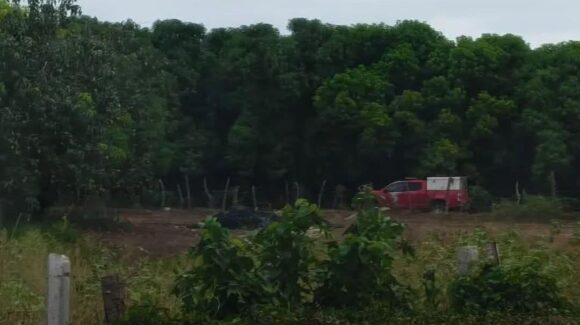 Localizan cuerpo semienterrado en huerta de mangos de Agua Verde, Rosario, Sinaloa; investigan posible fosa clandestina