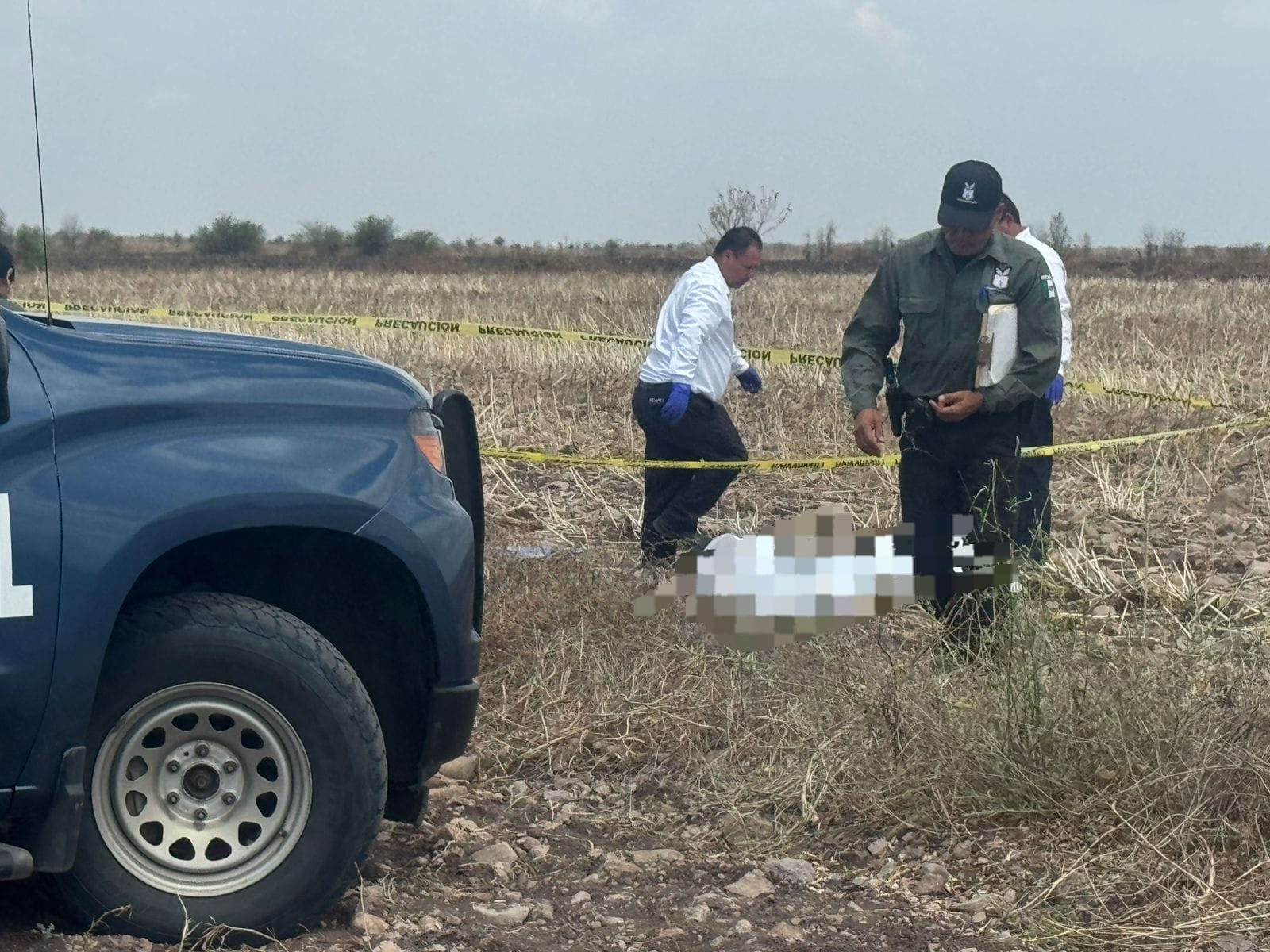 Hallazgo en terreno de cultivo en Angostura