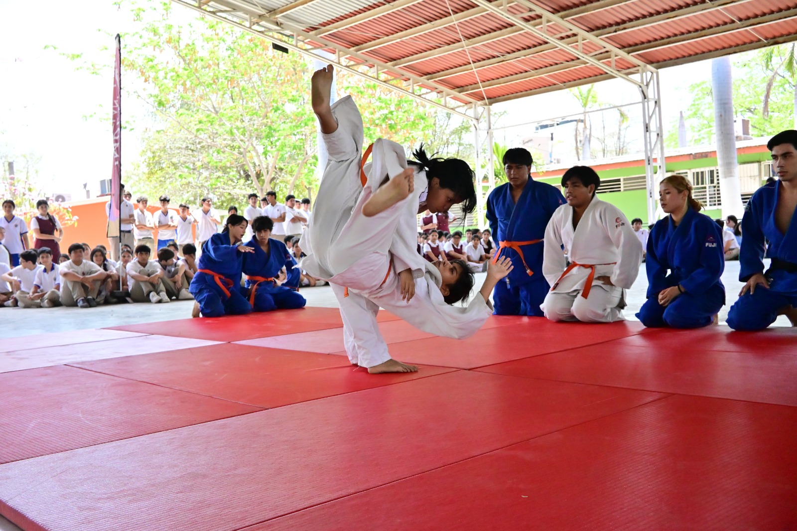 Curso de judo